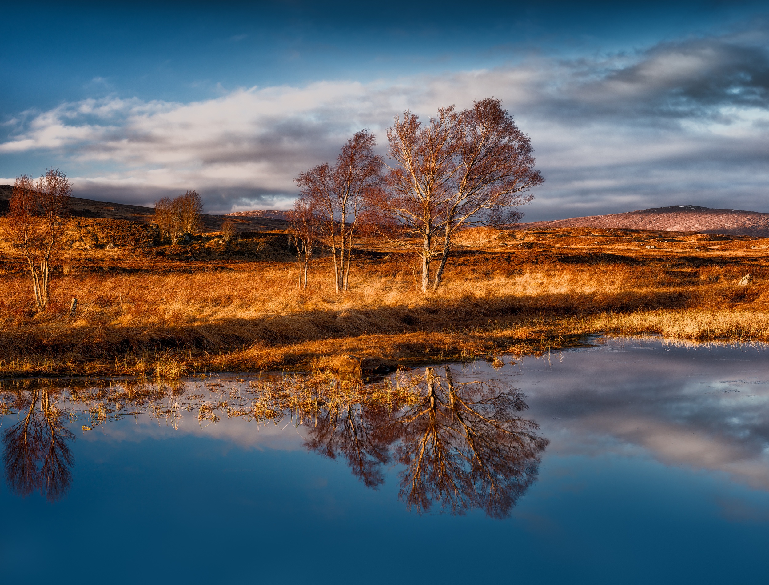 General 2500x1901 reflection blue water trees landscape Scotland nature