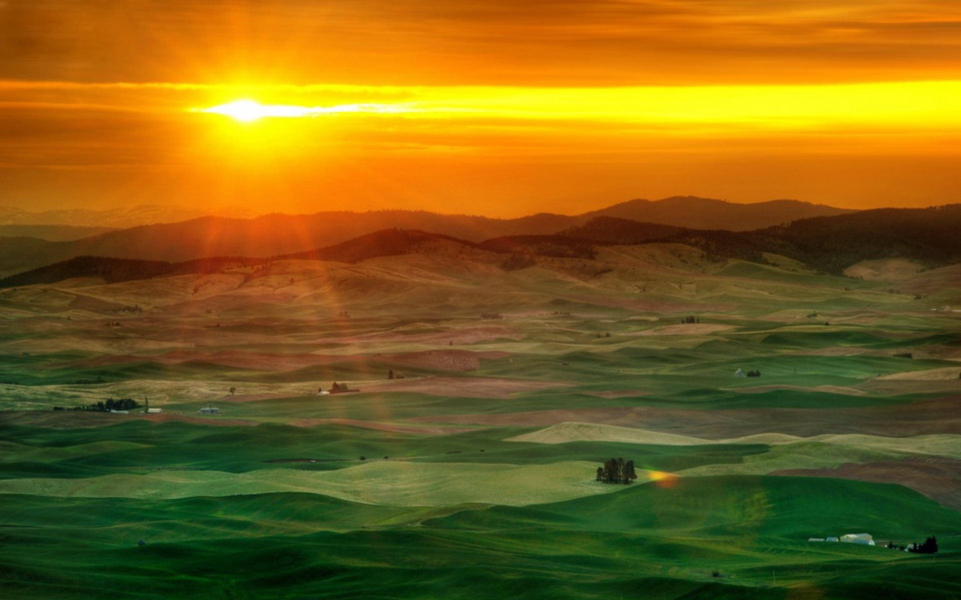 General 1920x1200 desert nature landscape Sun orange sky sky sunlight field