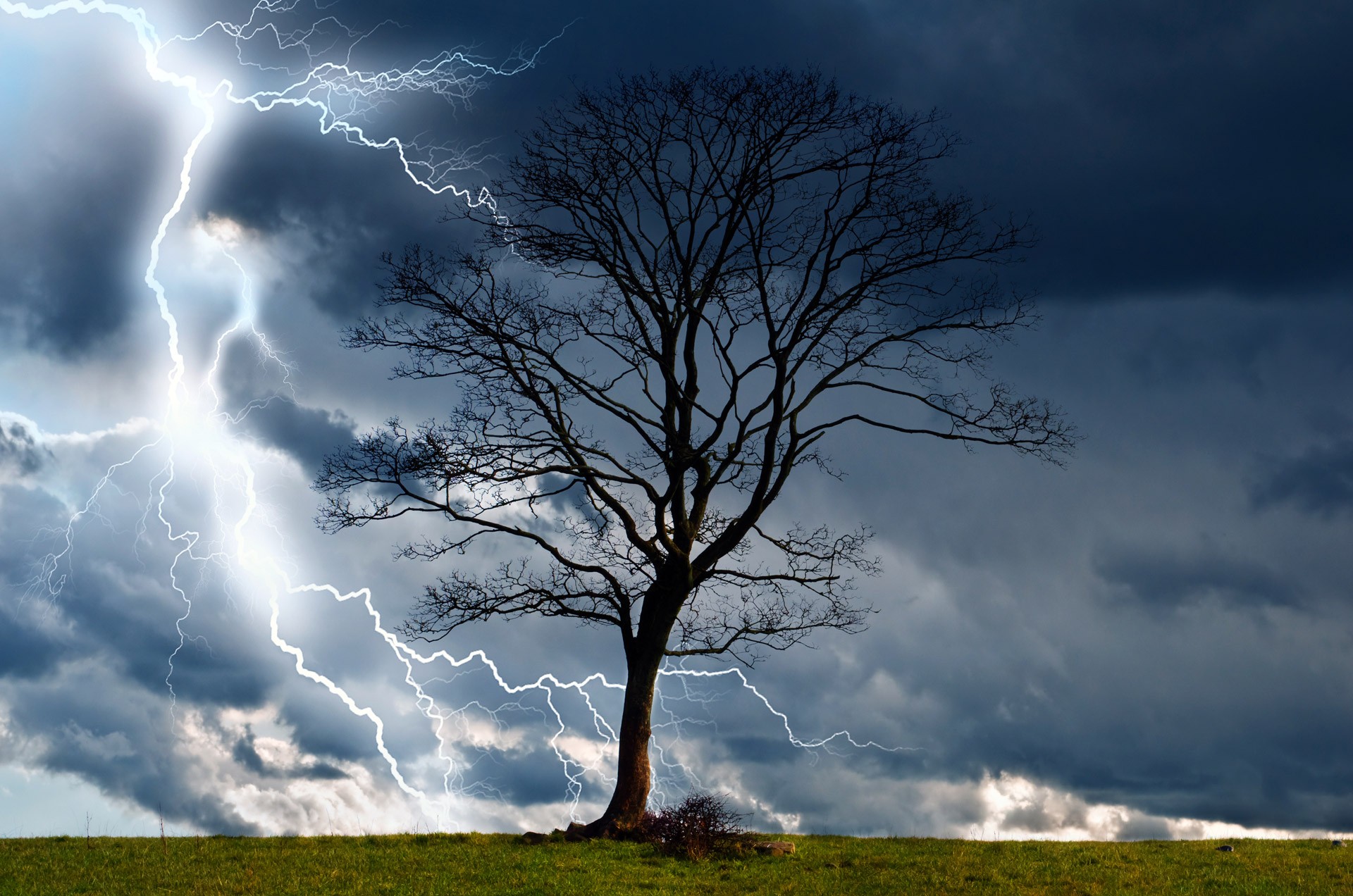 General 1920x1272 lightning trees outdoors storm sky clouds