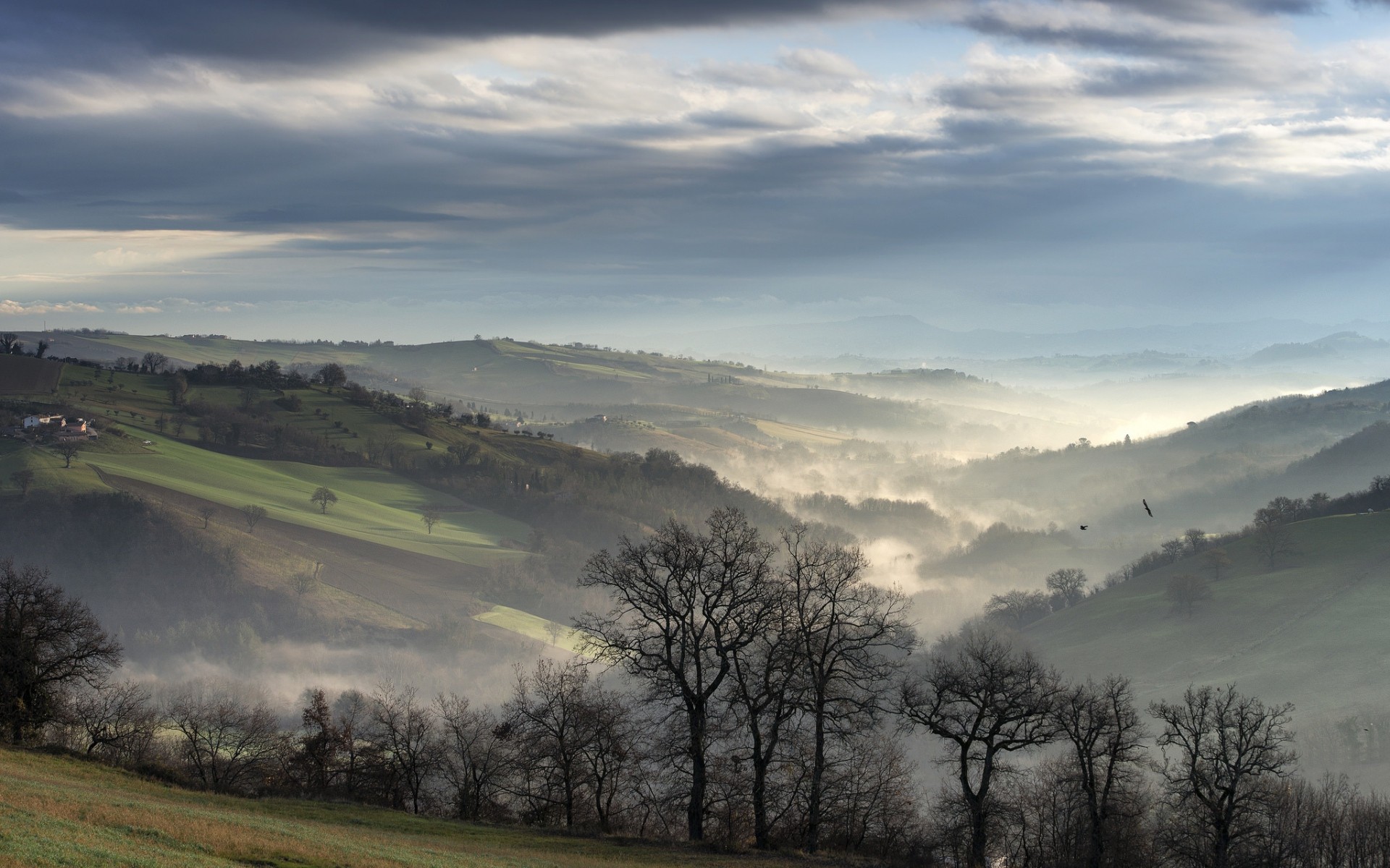 General 1920x1200 nature landscape clouds trees morning mist hills valley