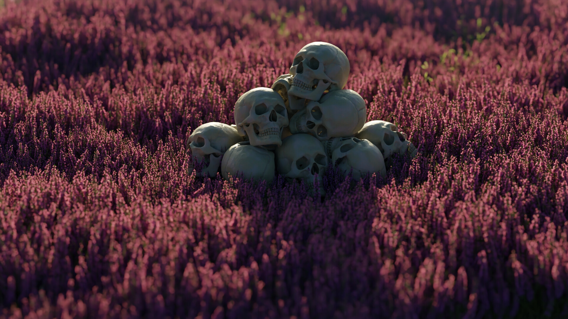 General 1920x1080 digital art flowers lavender skull iwo pilc Blender depth of field natural light