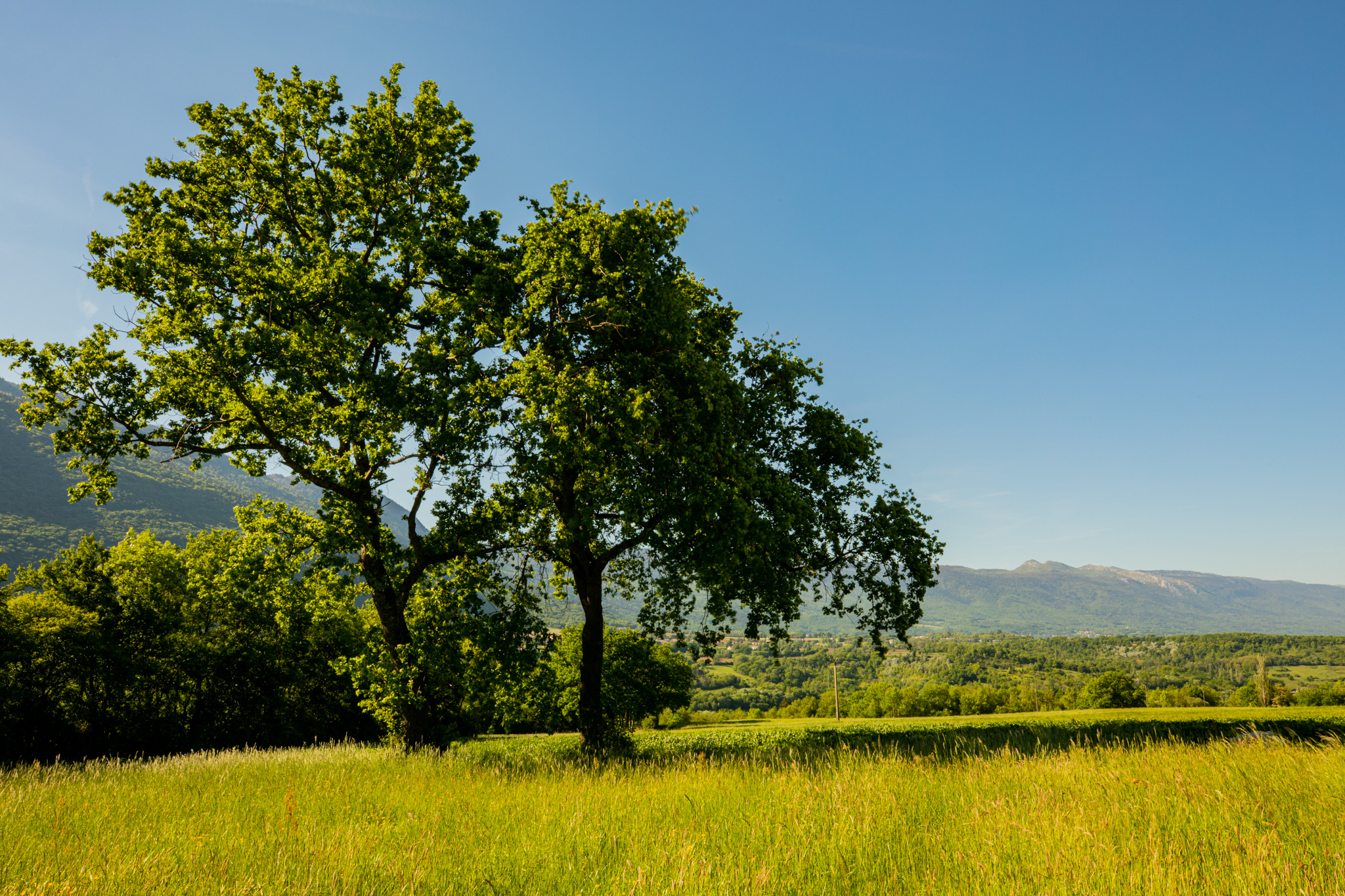 General 2048x1365 photography outdoors nature trees forest landscape mountains field greenery grass