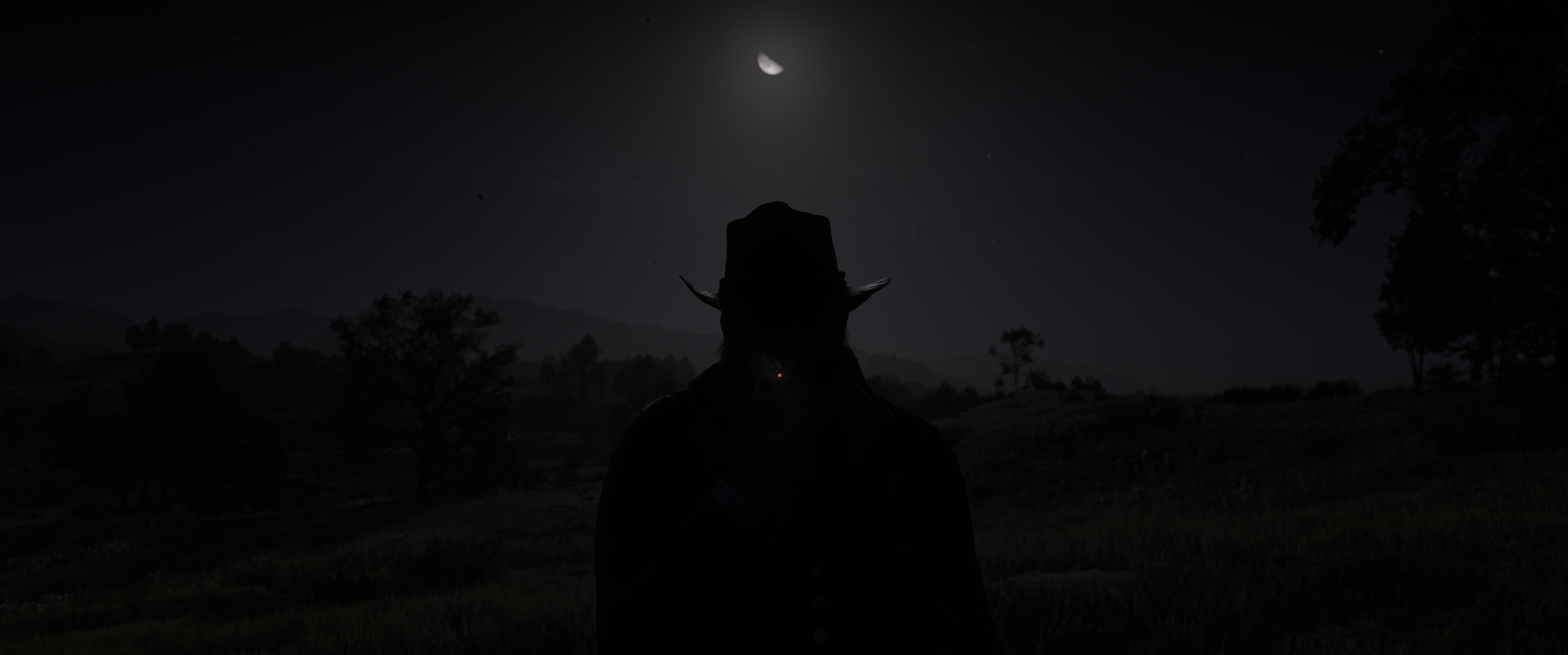 General 3439x1437 Red Dead Redemption 2 Arthur Morgan CGI video games night dark background hat video game characters standing sky Moon moonlight