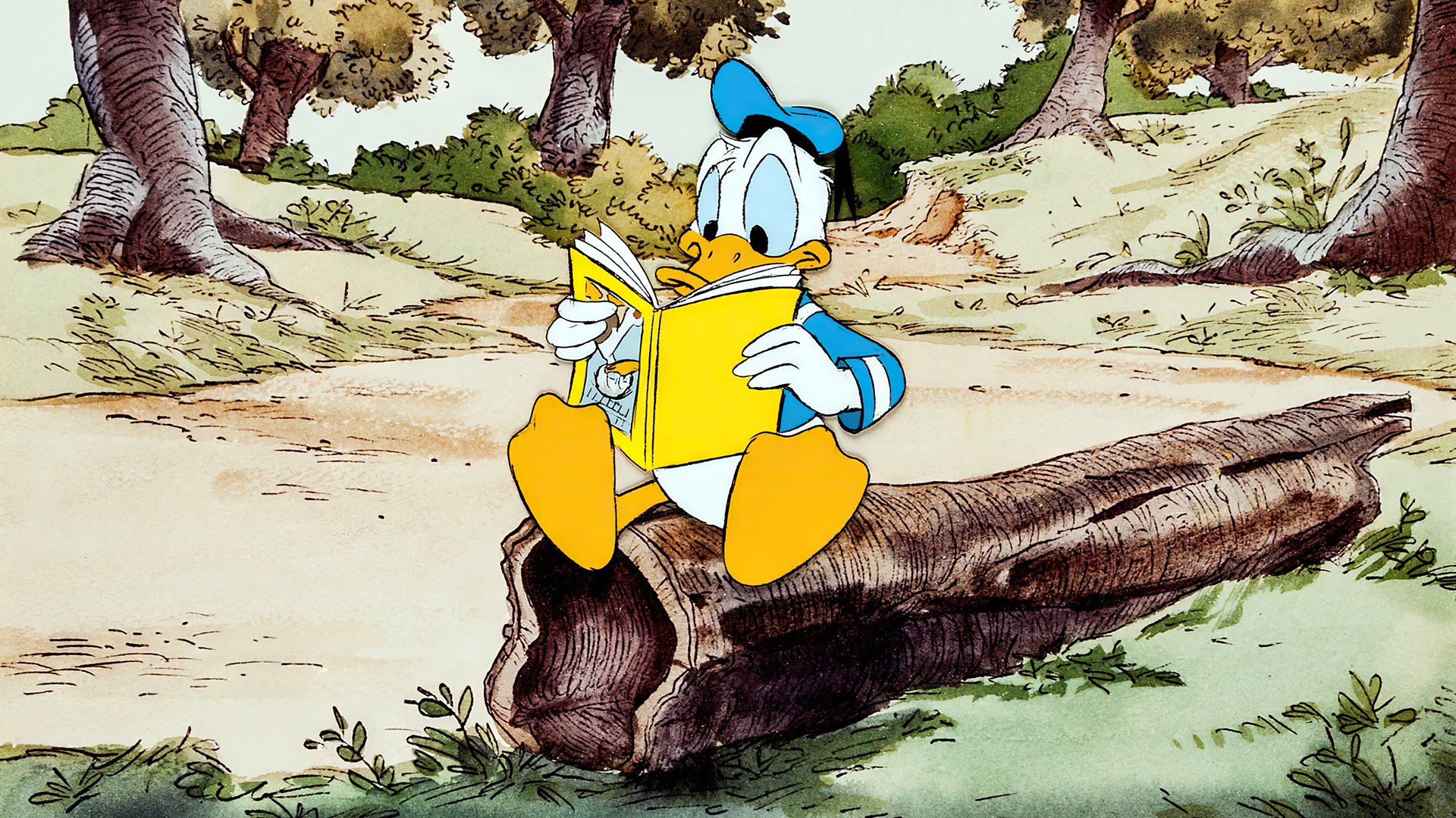 General 1920x1080 Walt Disney Disney animation cartoon production cel Donald Duck books log forest trees sitting