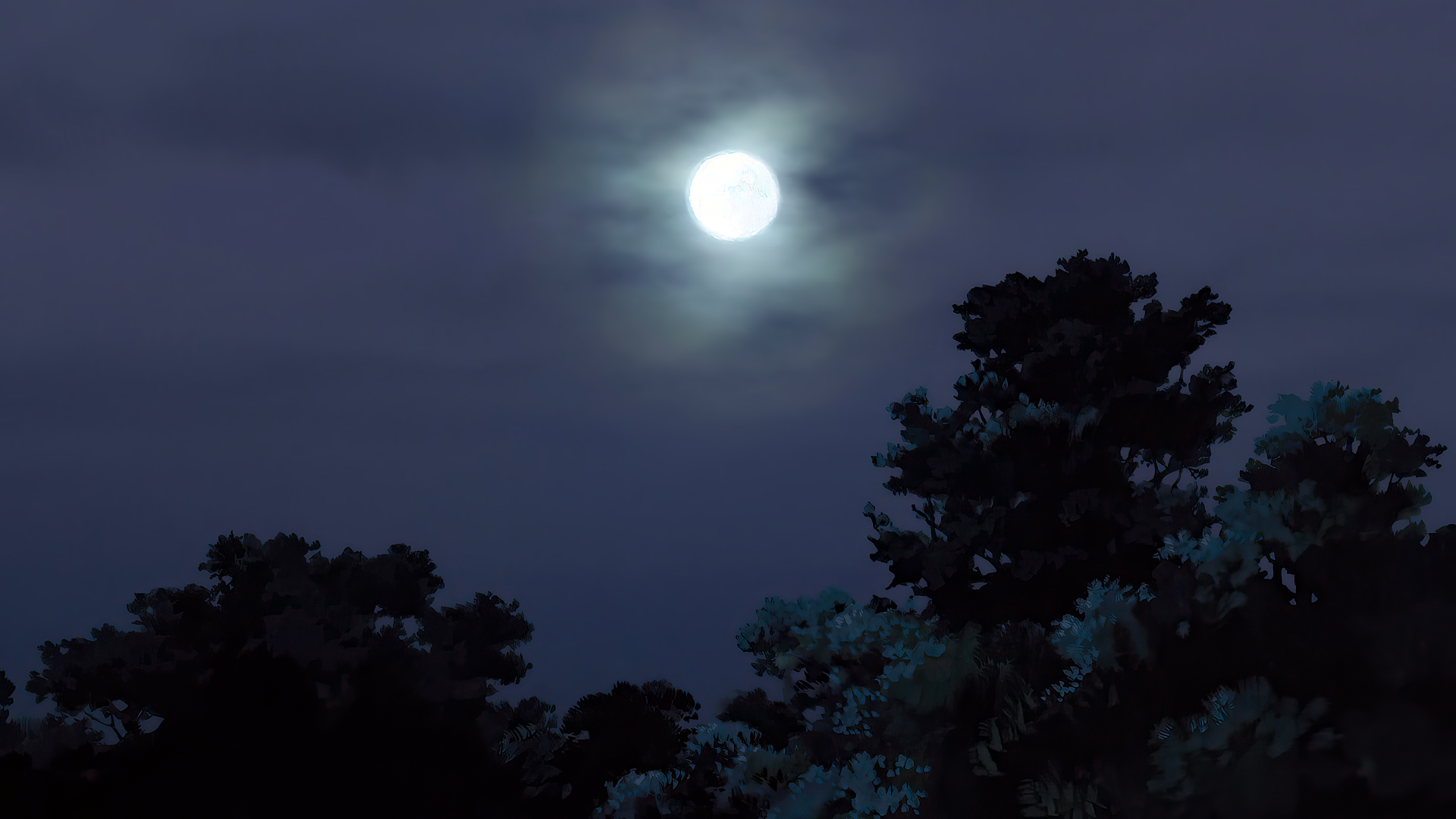 Anime 1920x1080 Kokuriko-zaka kara animated movies anime animation film stills Studio Ghibli Moon trees forest night sky